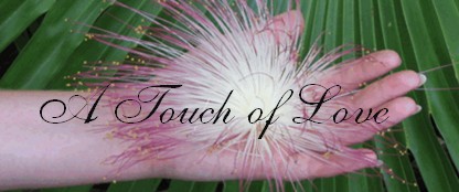 A Touch of Love